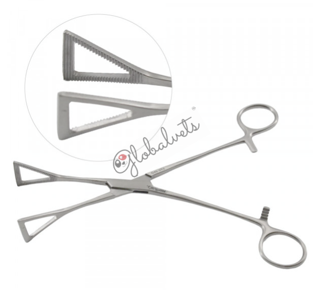 Miscellaneous Instruments